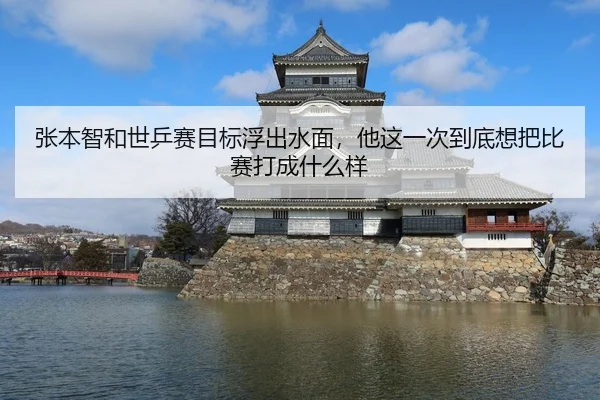 张本智和世乒赛目标浮出水面，他这一次到底想把比赛打成什么样